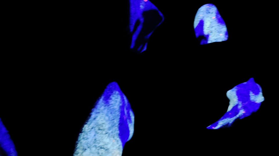 20211221111603.gif