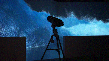 Riding Waves, Chasing Dreams