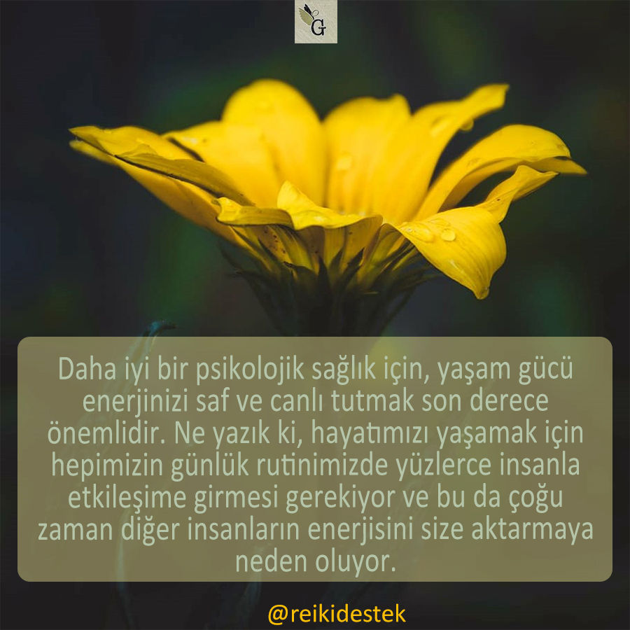 Başkalarının Enerjisinden Kurtulmak