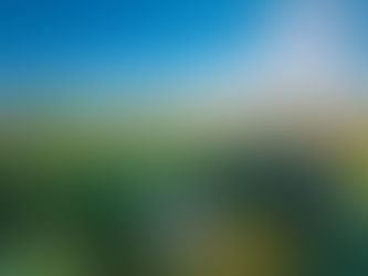 מדריך קצר לרכישת שמן CBD איכותי אונליין