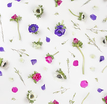 Violet Flowers