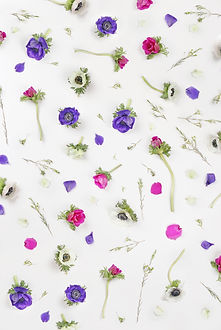 Violet Flowers