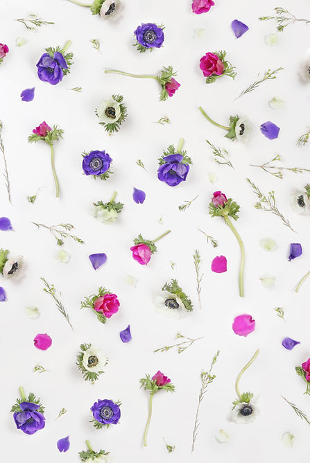 Fleurs Violet