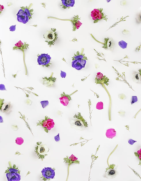 Flores violetas