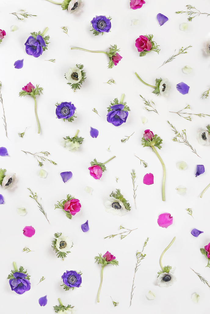 Violet Flowers