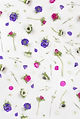 Violet Flowers