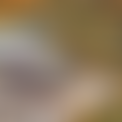 Brampton warehouse building