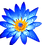 Loto azul - Logotipo