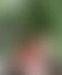 Portal 9/9/9 significado espiritual e numerológico