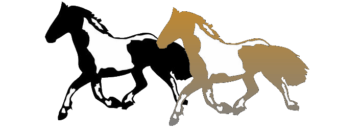 Logo Barock Pinto Italy 01.gif
