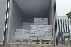 1_ Inspection of consignment prior to Di-min.jpg