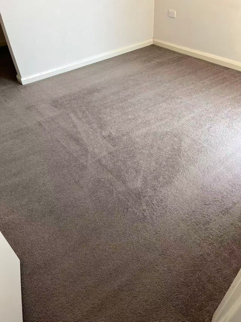 Clean carpet after professional steam cleaning in Clayton Melbourne