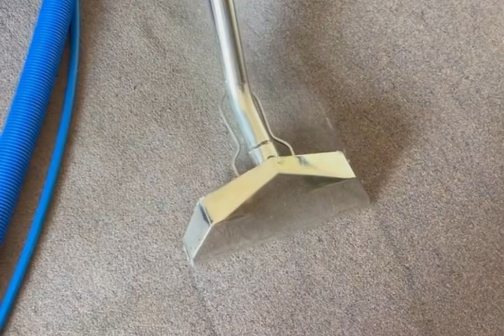 steam carpet cleaning for end of lease cleaning in Melbourne