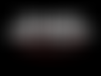 THE BURNT CHEF PROJECT NORTH AMERICA