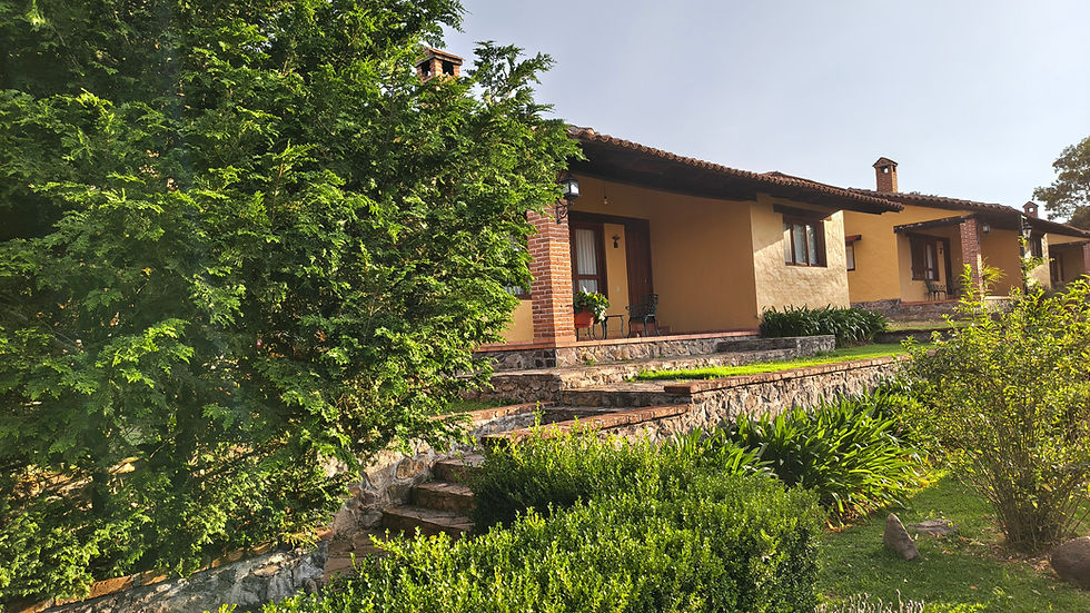Cabañas en Tapalpa rodeadas de árboles y jardines.