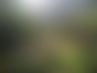 A new customer's inside look...