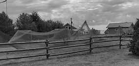 IMG_20180804_151204_edited.jpg