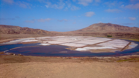untitled image