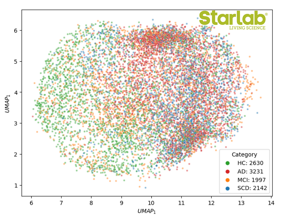 UMAP Projection of the Latent Space learned by an LSTM-based Variational Autoencoder (VAE) trained on real EEG recordings. HC stands for Healthy Controls. AD for Alzheimer's Disease. MCI for Mild Cognitive Impairment and SCD for Subjective Cognitive Decline patients.
