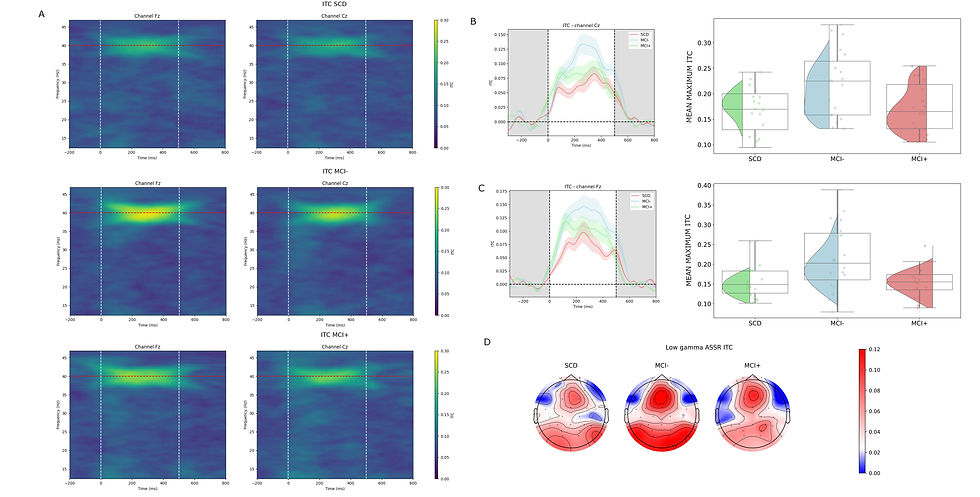 Figure 3. 40 Hz auditory steady-state responses (ASSRs) of the three participants. Red: SCD; blue: MCI−; green: MCI+. The MCI− participant showed an increased ASSR response, consistent with a pattern of cortical hyperexcitability, despite the absence of the amyloid and tau biomarker profile observed in the MCI+ participant.