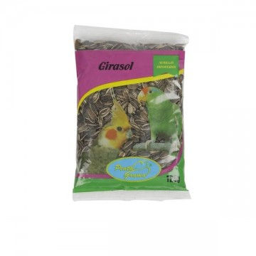 Semillas de girasol.jpg