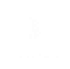 white_transparent.png