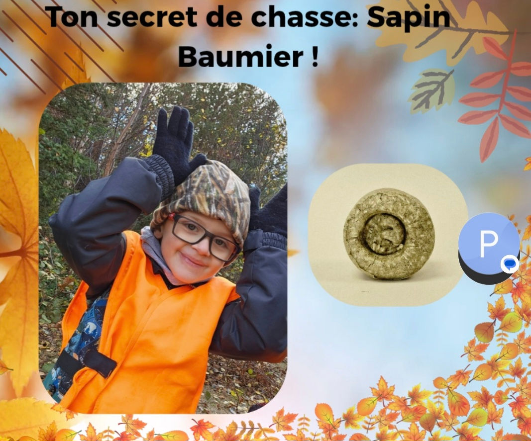 Shampoing Sapin Baumier de Cadellia