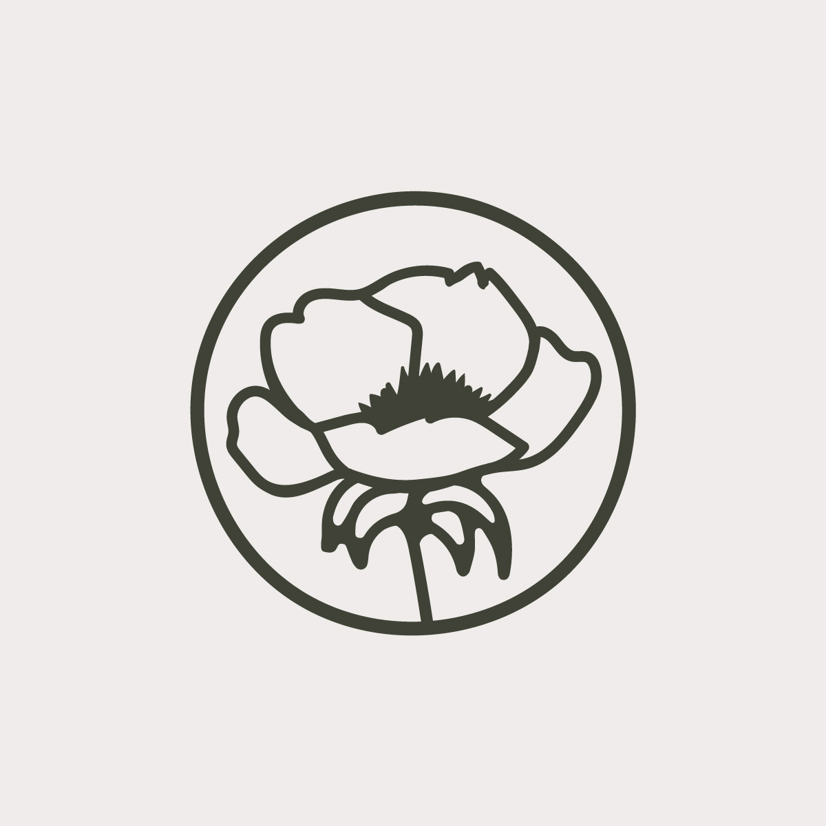 www.alorageneralstore.org