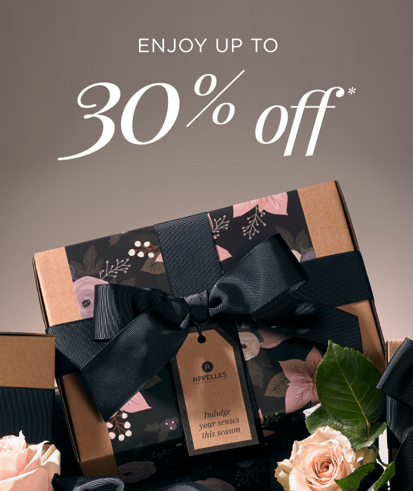 appelles_christmas_blackfriday_HERO_30of