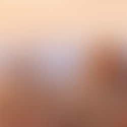 Ingenio y proporción en la cúpula de Brunelleschi