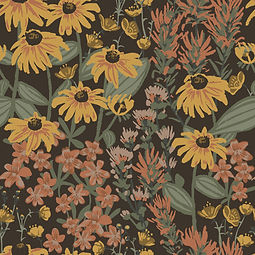 Black eye susan-01.jpg