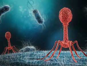 The Future of "Antibiotics"