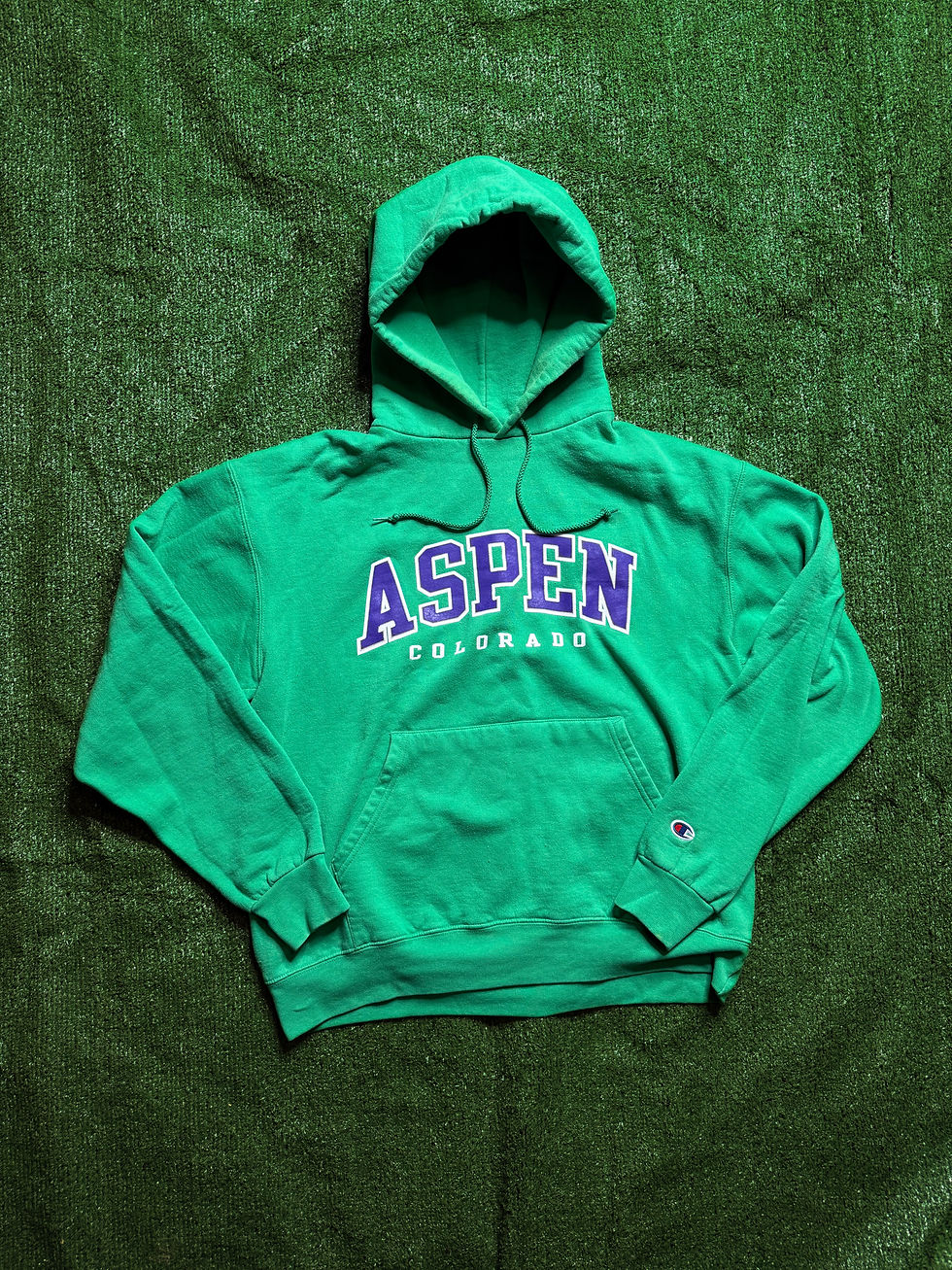 Champion Aspen Green Hoodie L