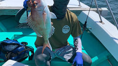 遊漁船 釣り船 里桜ちゃん丸