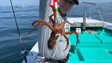 遊漁船 釣り船 里桜ちゃん丸