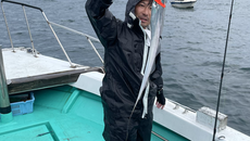 本日午前タチウオ、チャーター