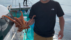 遊漁船 釣り船 里桜ちゃん丸