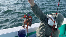 遊漁船 釣り船 里桜ちゃん丸