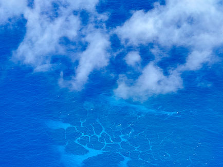 Tonga Part II - Ha'apai and Whale Swimming