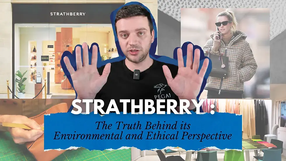 Strathberry's Mosaic Nano Bag Review by Tanner Leatherstein