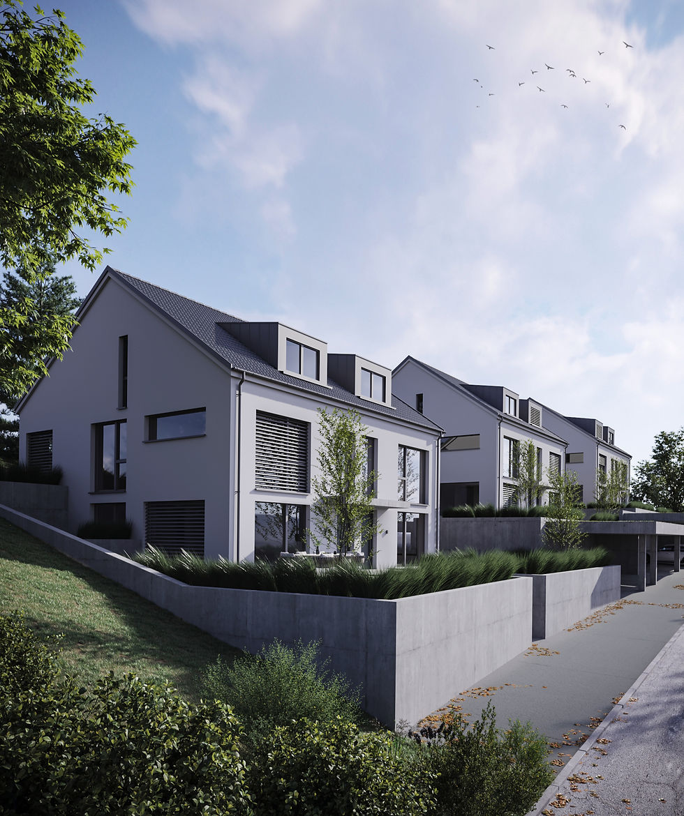 Oberer Mühlestettenweg 22 - 4450 Sissach - exterior cam 02_edited.jpg