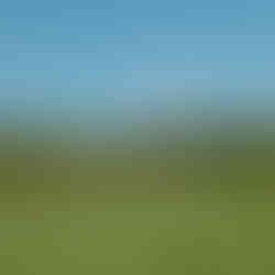 Royal Manchester Hole #14