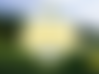 An In-Depth Review of Lansbrook Golf Club | Palm Harbor, FL