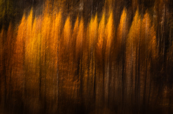 Pinceaux d’Automne en Vallée de la Clarée - photo