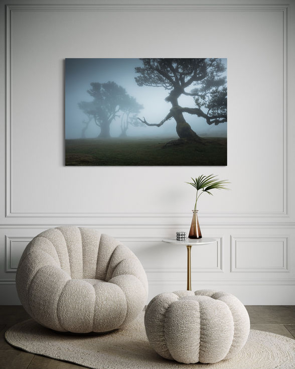 Photographie d'art illustrant les silhouettes des arbres dans la lumière diffuse et la brume de Fanal.