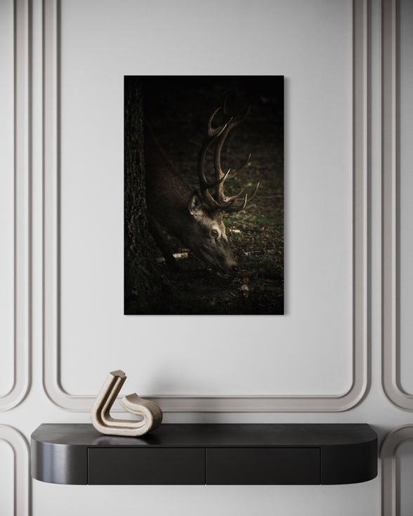 Scène intime d’un cerf en forêt, image d’art naturaliste.