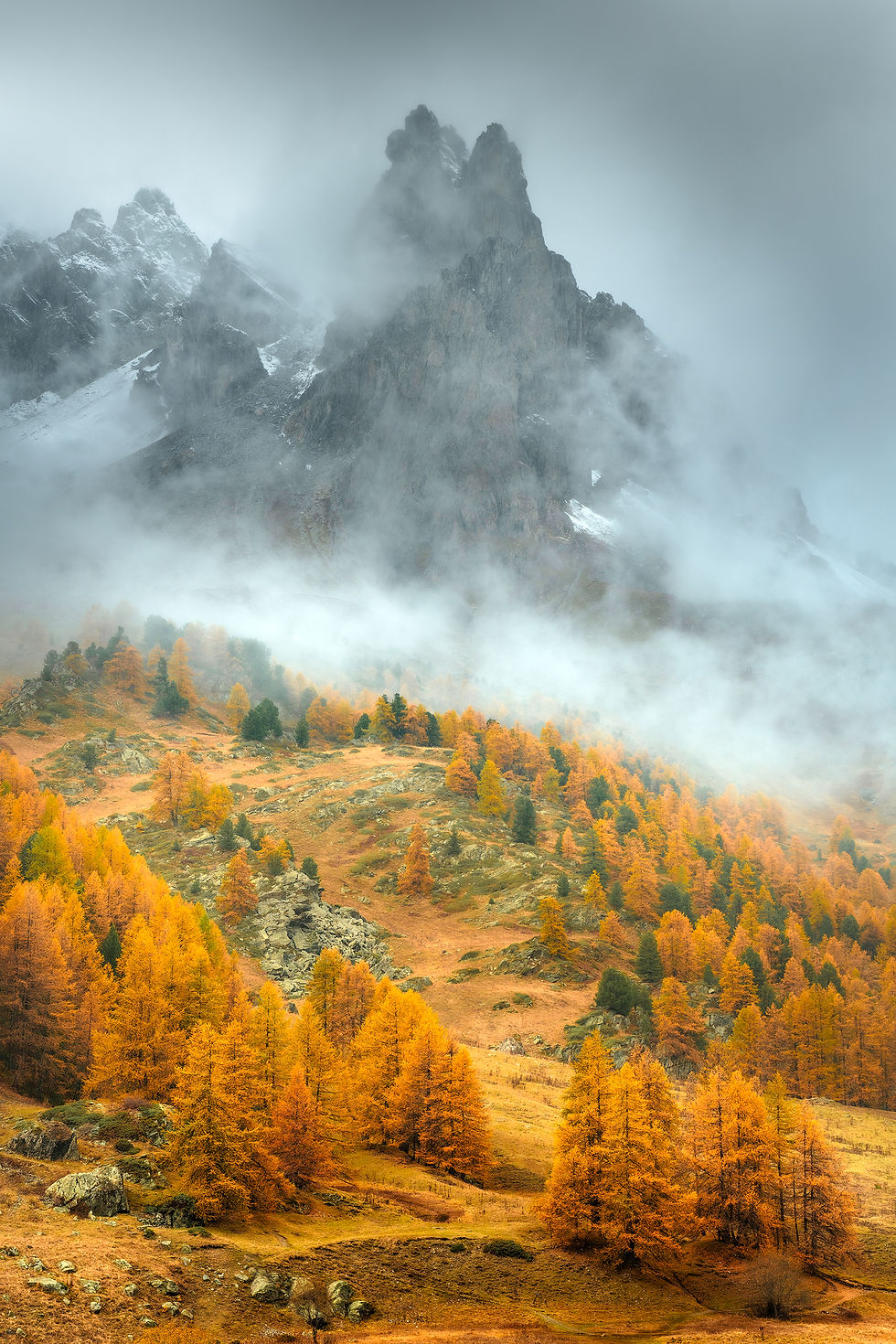 Photographie d'art de sommets alpins dans la brume dominant une forêt de mélèzes dorés en automne, Alpes françaises.