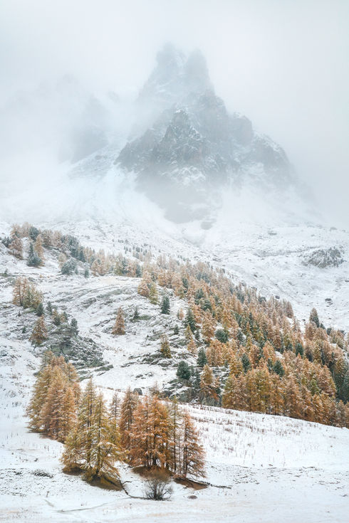montagne dans la brume avec mélèzes enneigés vallée de la clarée alpes