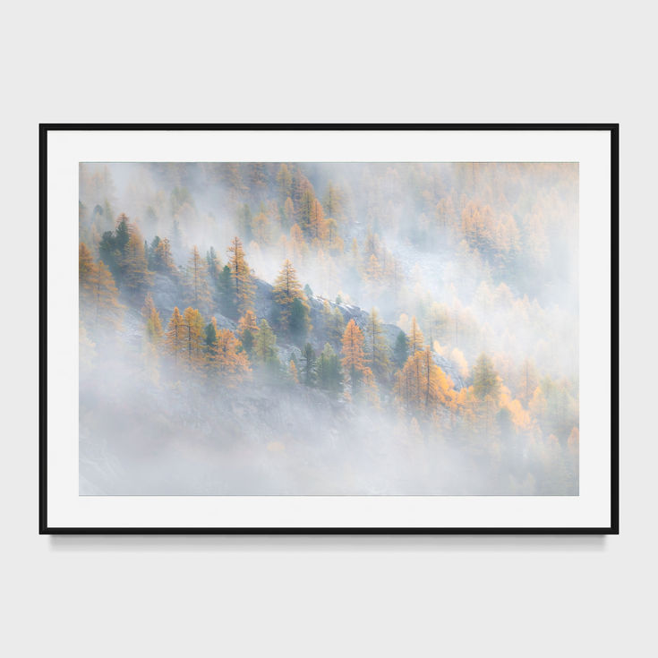 Photographie d'art de la vallée de la Clarée montrant des mélèzes dorés enveloppés de brume au lever du jour dans les Alpes f