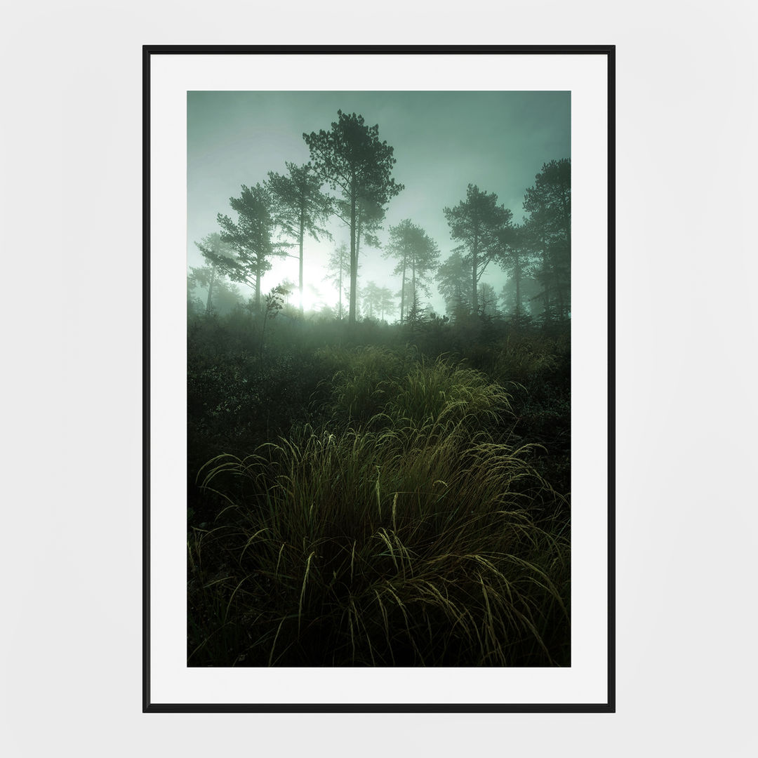 Photo du mont ventoux